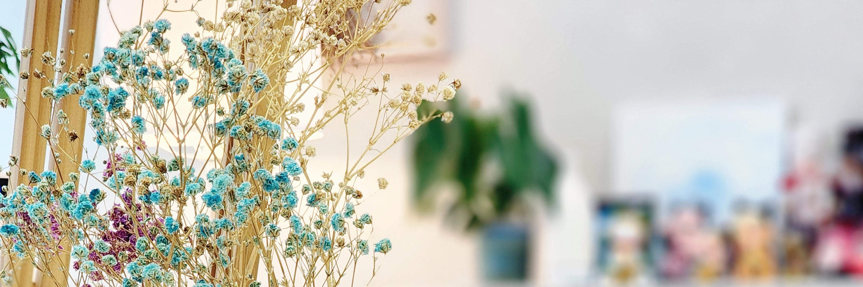 La Vie Studio - estudio de autoservicio |